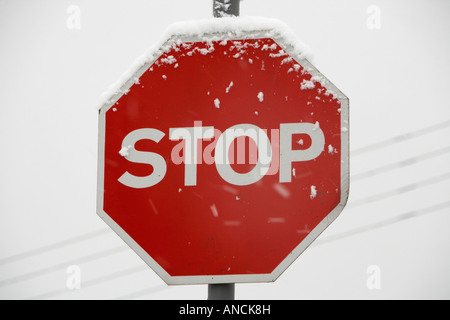 rote Stoppschild beschichtet mit Schnee mit starkem Schneefall gefüllt Himmel während Schneesturm Stockfoto