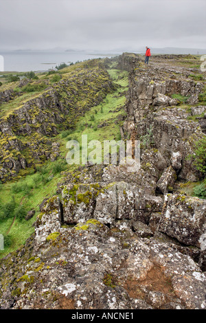 Thingvellir Fissur Zone Island treffen die nordamerikanische Platte der Euro-asiatischen Platte Stockfoto