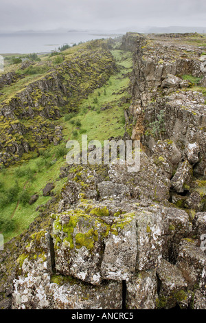 Thingvellir Fissur Zone Island treffen die nordamerikanische Platte der Euro asiatische Platte Welterbekonvention der UNESCO Stockfoto