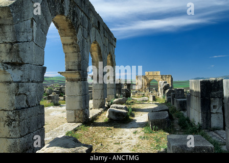 Decumanus Maximus Avenue in Volubilis Marokko Stockfoto