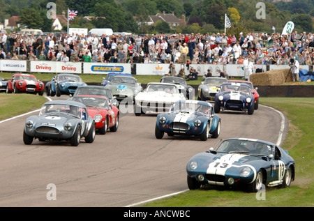 Auto geht breit und Kufen aus der Bahn zu den 2005 Goodwood Revival GT Funktion Autorennen - Cobra, Corvette, Ferrari, E Type Stockfoto