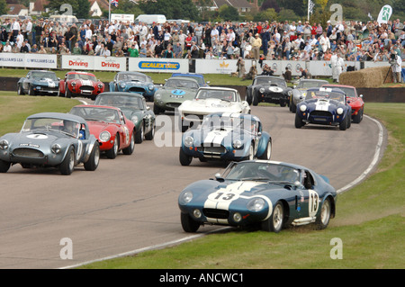 Auto geht breit und Kufen aus der Bahn zu den 2005 Goodwood Revival GT Funktion Autorennen - Cobra, Corvette, Ferrari, E Type Stockfoto