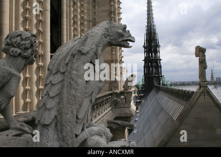 Wasserspeier, (Gargouille) auf die Kathedrale Notre Dame mit den Kathedralen Türmen und Turm Stockfoto