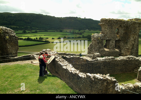 Dryslwyn Schloss Tywi Tal Stockfoto