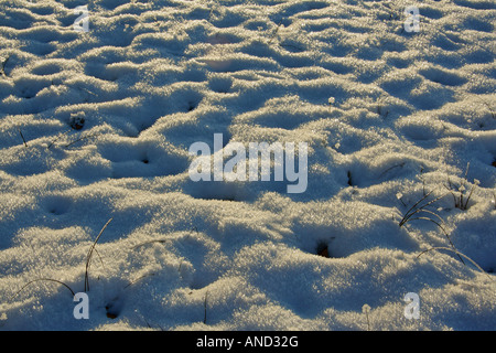 Schnee bedeckte Felsbrocken auf dem Boden Bayern Deutschland Europa Stockfoto