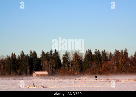 Fuß an einem kalten Wintertag mit Bodennebel Gaißach zwischen Bad Tölz und Lenggries oberen Bayern Deutschland Europa Stockfoto