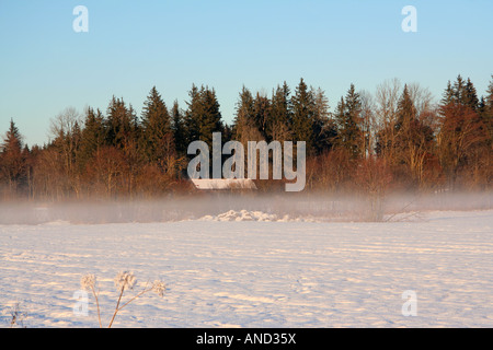 Haus versteckt hinter Bodennebel an einem kalten Wintertag Gaißach in der Nähe von Bad Tölz oberen Bayern Deutschland Europa Stockfoto