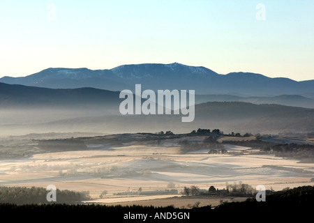 Die Königin Blick in der Nähe von Tarland, Aberdeenshire, Schottland, UK, mit starkem Frost im Winter, gesehen in Richtung Lochnagar Stockfoto