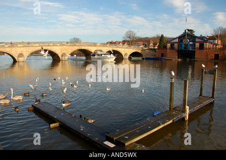 Brücke und Liegeplätze an der Henley, UK Stockfoto