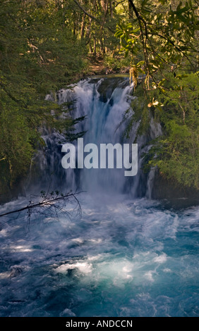Ojos del Carburgua Wasserfälle, Nationalpark Caburgua, Seen-Region, Chile Stockfoto
