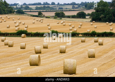 Strohballen in den Cotswolds am Swinbrook in Oxfordshire, Vereinigtes Königreich Stockfoto