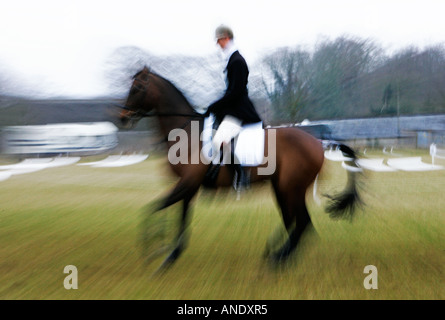 Pferd und Reiter in Blenheim Horse Trials Vereinigtes Königreich Stockfoto