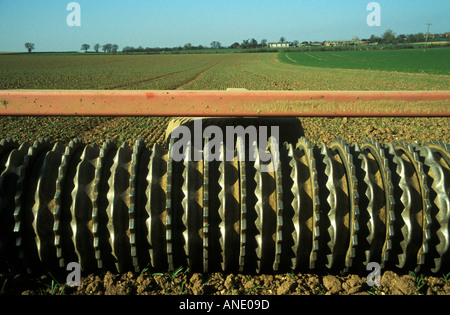 Landwirtschaftlichen gerippten Walzen in einem Feld Stockfoto