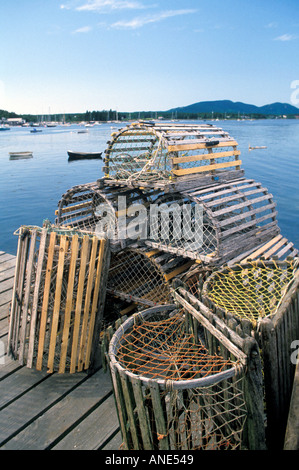 Maine Lobster fallen Bass Harbor Stockfoto