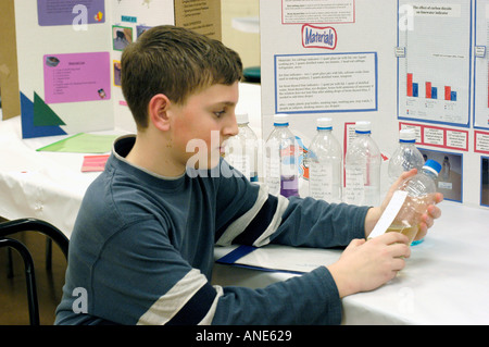 Mittelschule Schülerarbeiten auf wissenschaftliches Projekt Stockfoto