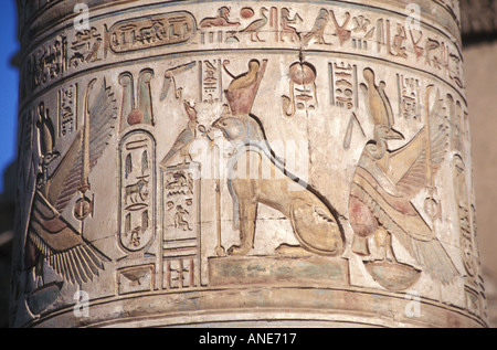 Detail der farbigen Hieroglyphen an eine Säule im Tempel von Sobek und Haroeris in Kom Ombo, Ägypten Stockfoto