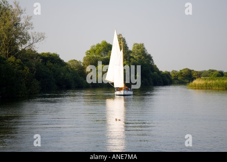 Segelboot auf den Norfolk Broads Vereinigtes Königreich Stockfoto