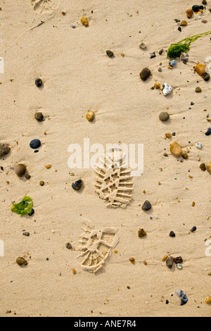 Fußabdruck im Sand Cley Norfolk Strand Vereinigtes Königreich Stockfoto