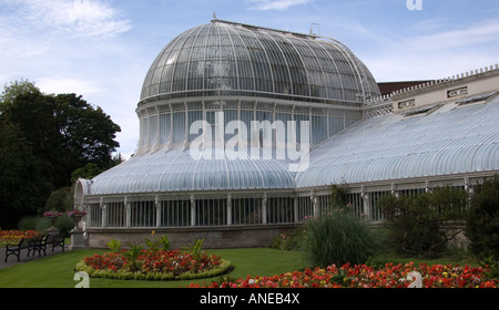 Palm House, Belfast Botanic Gardens, N. Irland Stockfoto