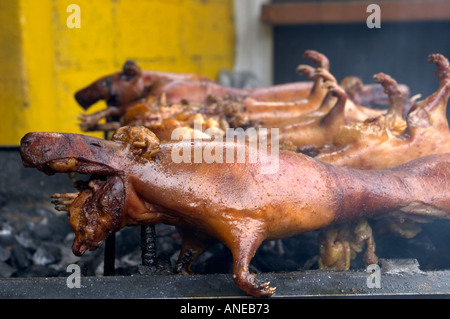 Gebratenes Meerschweinchen, die auf der Straße in Banos Ecuador verkauft Stockfoto