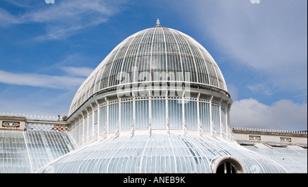 Palm House, Belfast Botanic Gardens, N. Irland Stockfoto