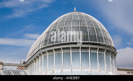 Palm House, Belfast Botanic Gardens, N. Irland Stockfoto