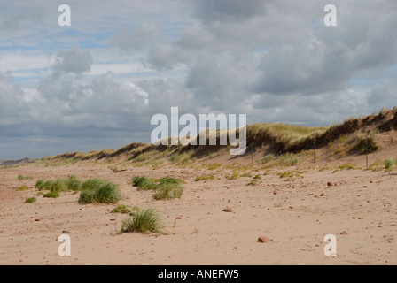 Dünen, Dalvay Strand, Prince Edward Island - Kanada Stockfoto