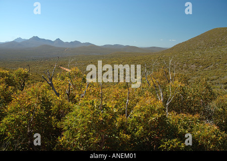 Landschaftlich reizvolle Fahrt durch Stirling Range Nationalpark Western Australien Stockfoto