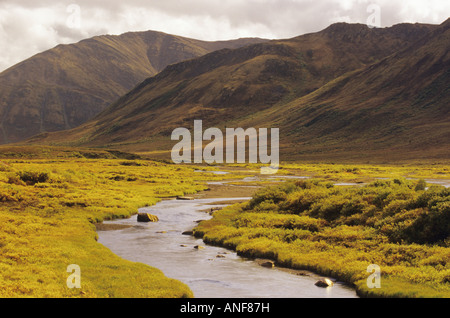 Grundstück Kaufen Kanada Yukon