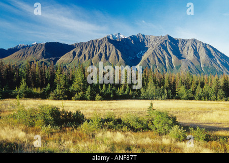 Saint Elias Mountains, Kluane National Park, Yukon, Kanada. Stockfoto