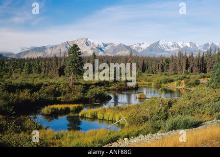 Kluane National Park, Yukon, Kanada. Stockfoto