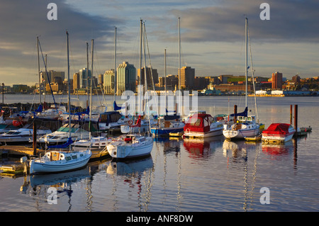 Marina-Boote in den frühen Morgenstunden. Halifax, Nova Scotia, Kanada. Stockfoto