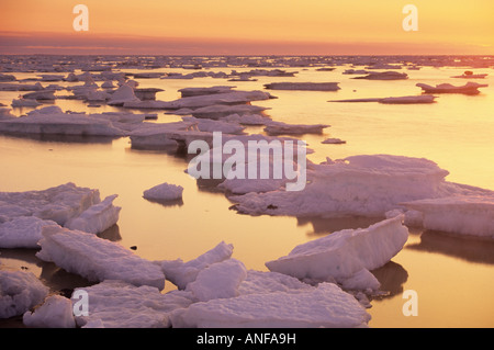 Eisschollen am Hudson Bay in Churchill, Manitoba, Kanada. Stockfoto