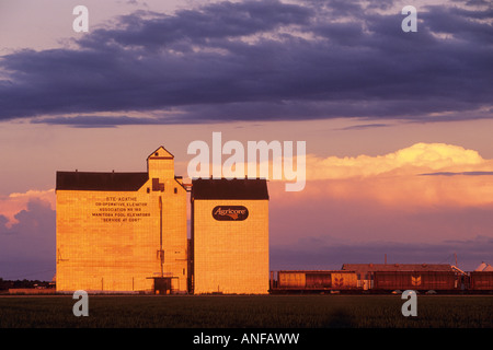 Grain Elevator, Heilige Agathe, Manitoba, Kanada. Stockfoto