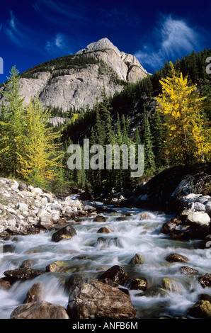 Rampart Creek, Banff Nationalpark, Alberta, Kanada. Stockfoto