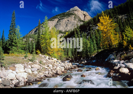 Rampart Creek, Banff Nationalpark, Alberta, Kanada. Stockfoto