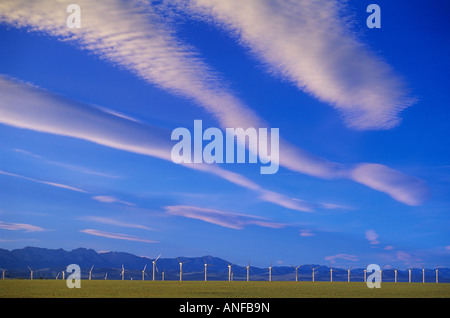Windenergieanlagen gegen Rocky Mountains im Süden von Alberta, Kanada. Stockfoto