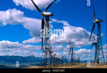 Windkraftanlagen entlang einer Kante in Pincher Creek, Alberta, Kanada Stockfoto