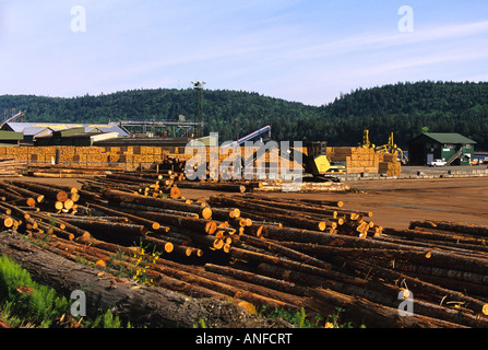 Lumber Yard, Lady Smith, Vancouver Island, British Columbia, Kanada Stockfoto