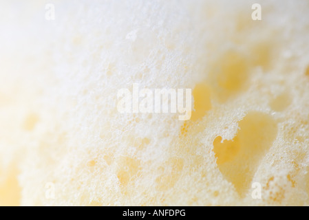 Schwammige Oberfläche, extreme Nahaufnahme Stockfoto
