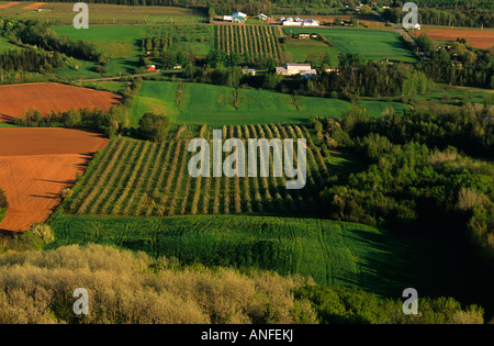 Vista von Blomidon Lookout, Annapolis Valley, Nova Scotia, Kanada Stockfoto