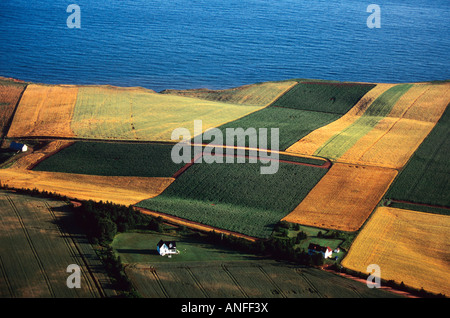 Antenne, kultivierte Feld, Park Ecke, Prince Edward Island, Canada Stockfoto