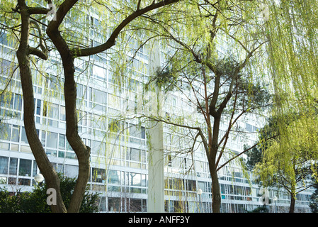 Bäume und Bürogebäude Stockfoto