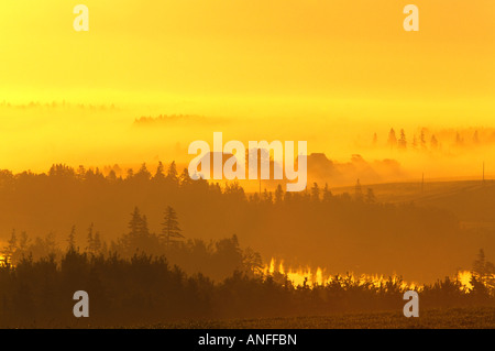 Dawn, Wiese Bank, Prince Edward Island, Canada Stockfoto