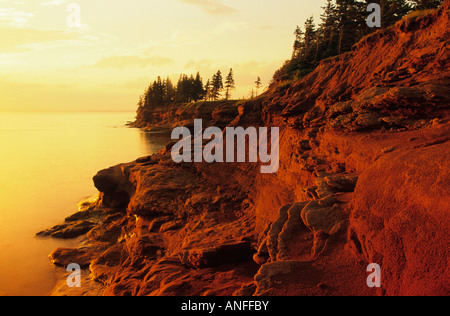 Sandsteinfelsen, Seacow Kopf, Prince Edward Island, Canada Stockfoto