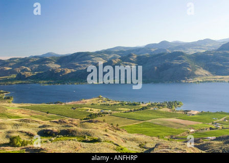 Weinberge und Obstgärten auf Osoyoos See von einem Aussichtspunkt am Highway 3, Thompson-Okanagan, Britisch-Kolumbien, Kanada. Stockfoto