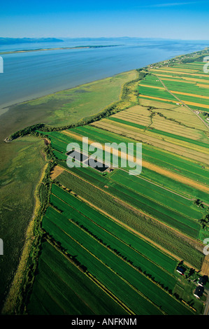 Luftaufnahmen von der Südküste mit den St.-Lorenz-Strom darüber hinaus, Quebec, Kanada. Stockfoto