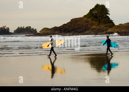 Surfer-Kopf in den kalten Gewässern der Cox Bay, in der Nähe von Tofino an der Westküste von Vancouver Island, British Columbia, Kanada. Stockfoto