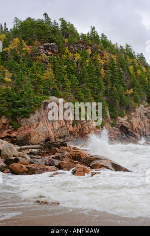 Atlantischen Ozean Sturmwellen abstürzen auf Black Brook Beach, Herbst, im Cape Breton Highlands National Park, Nova Scotia, Kanada. Stockfoto