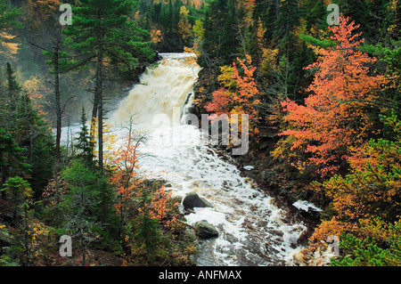 Mary Ann fällt und im Herbst Laub im Cape Breton Highlands National Park, Nova Scotia, Kanada. Stockfoto